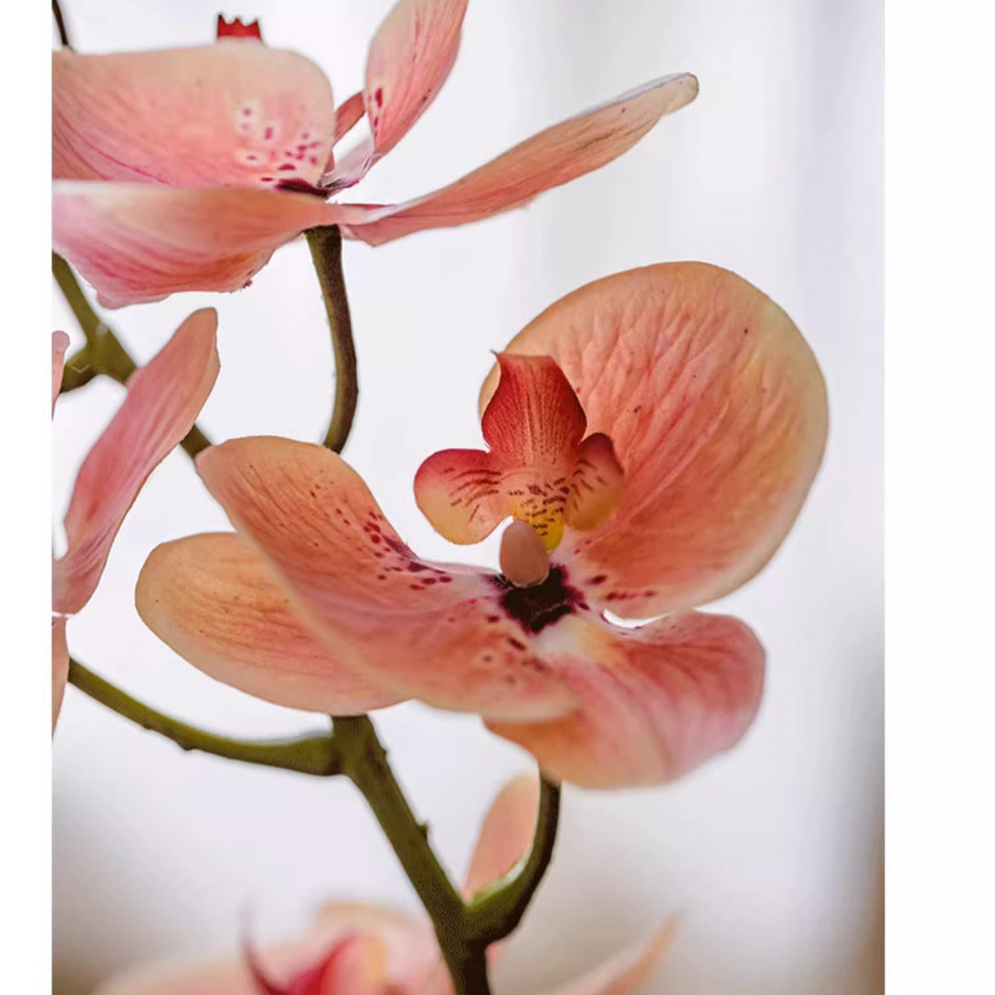 Artificial Butterfly Orchid Stem in Pink 27.5" Tall